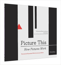 Picture This : How Pictures Work